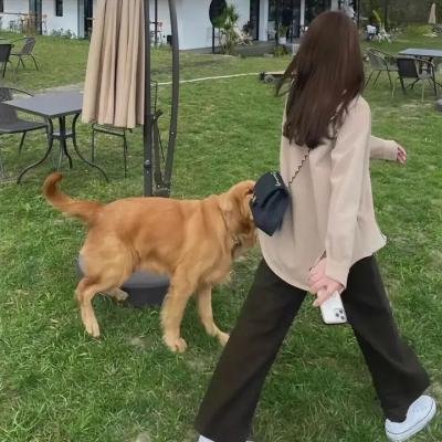 幕后玩家