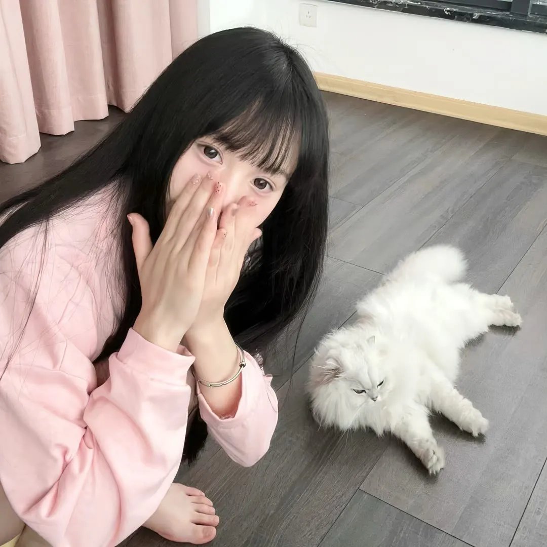 樱花革命:花开时的少女们